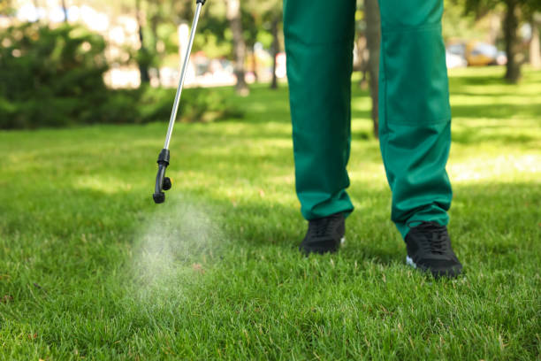 Best Pest Control for Businesses  in Prieville, NC