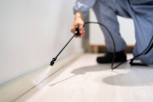 Best Best Pest Control Companies  in Prieville, NC
