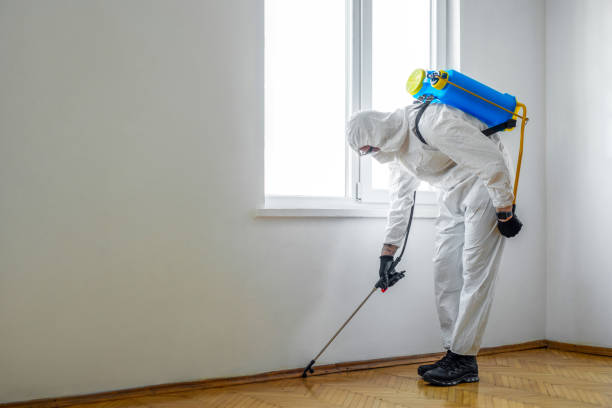 Best Pest Prevention Services  in Prieville, NC