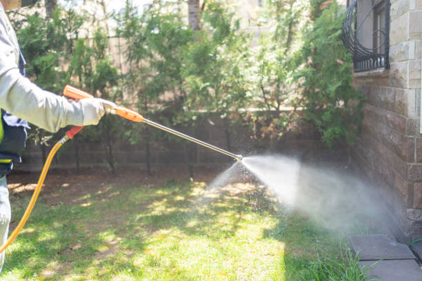 Best Affordable Pest Control Services  in Prieville, NC