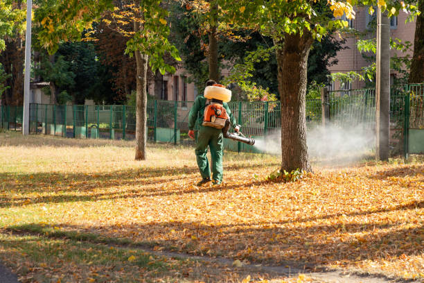 Best Emergency Pest Control  in Prieville, NC