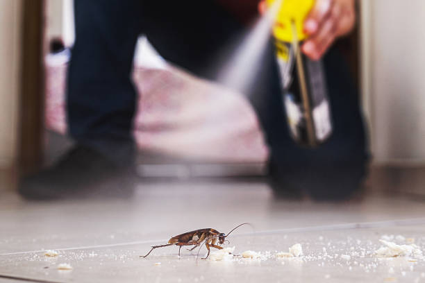 Best Wildlife Control Services  in Prieville, NC
