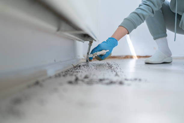 Best Best Pest Control Companies  in Prieville, NC