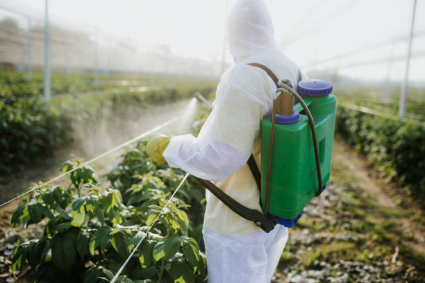 Trusted Princeville, NC Pest Control Experts